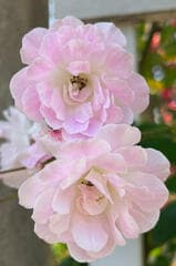 Go to image 2.