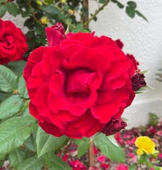 Go to image 1.