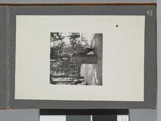 Go to image 49.