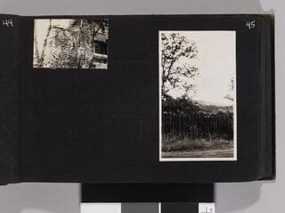 Go to image 47.