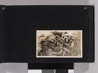 Go to image 65.