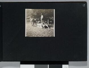 Go to image 19.