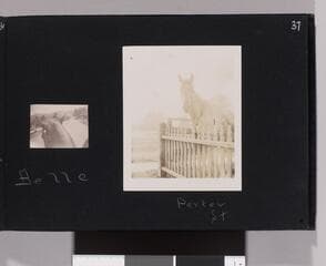 Go to image 39.