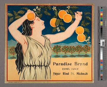 Paradise Brand