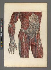 Go to image 261.