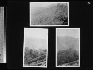 Go to image 54.