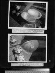 Go to image 44.