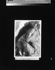Go to image 49.
