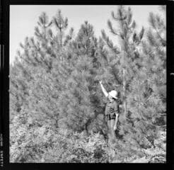 Go to image 2.