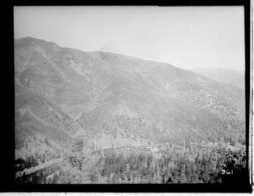 Hillside