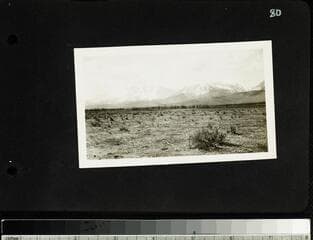 Go to image 81.