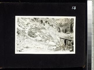 Go to image 60.