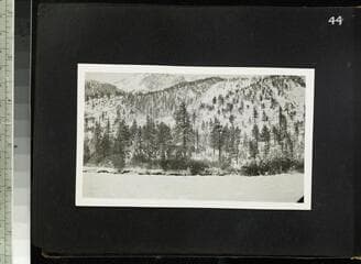 Go to image 46.