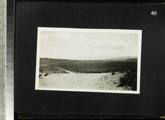 Go to image 42.