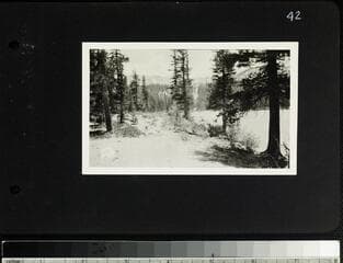 Go to image 43.