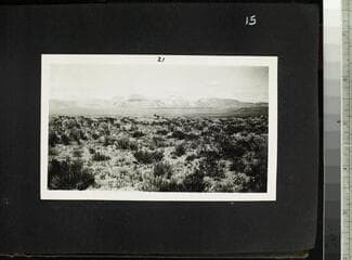Go to image 17.