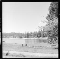 Go to image 49.