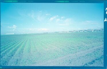 Go to image 4.