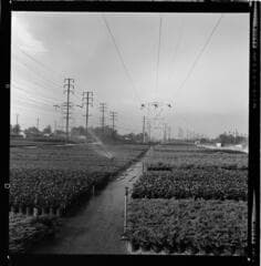 Go to image 6.
