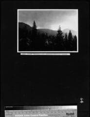 Go to image 66.