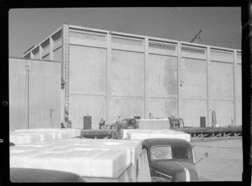 Imperial Ice Plant
