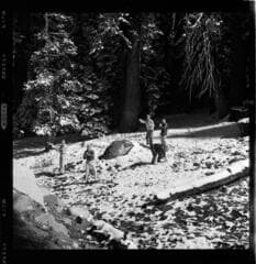 Go to image 49.
