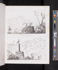 Go to image 232.