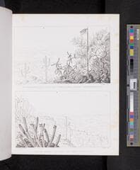 Go to image 244.