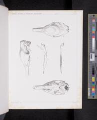 Go to image 762.