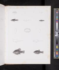 Go to image 1130.
