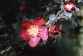 Go to image 1.