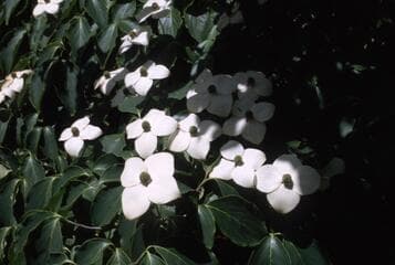 Go to image 7.