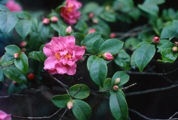 Go to image 3.