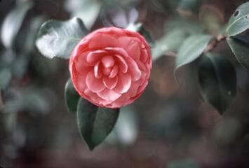 Go to image 4.