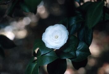 Go to image 2.