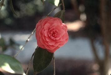 Go to image 2.