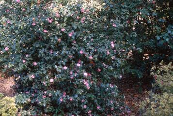 Go to image 8.