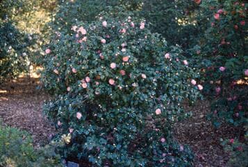 Go to image 6.