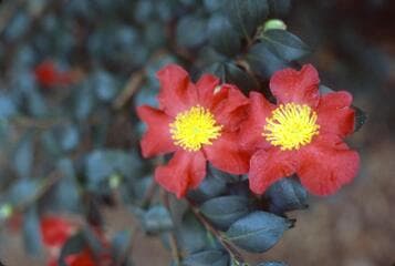 Go to image 8.