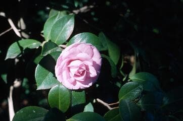 Go to image 4.
