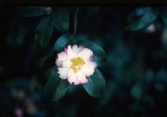 Go to image 9.