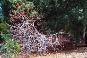Go to image 2.