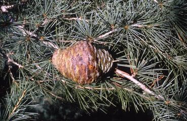 Go to image 24.
