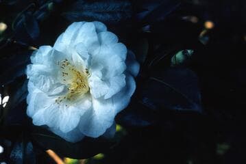 Go to image 3.