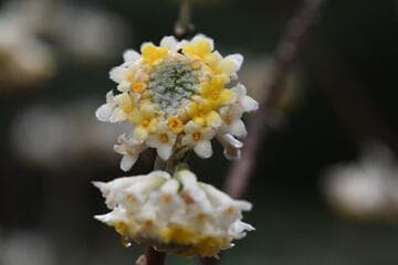 Go to image 8.