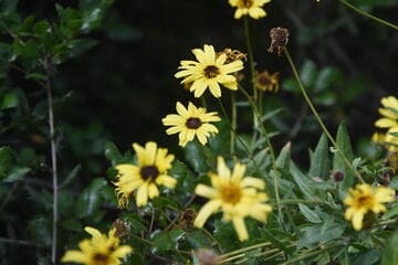 Go to image 8.