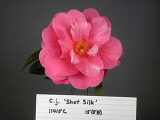 Go to image 1.
