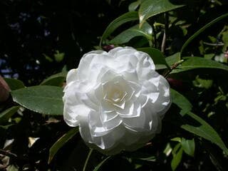 Go to image 2.