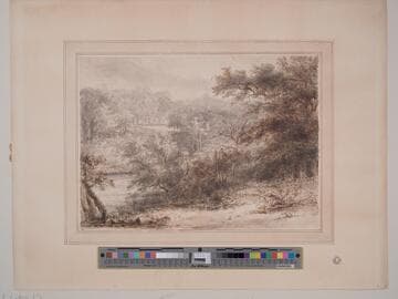 Landscape