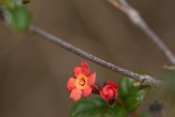 Go to image 2.